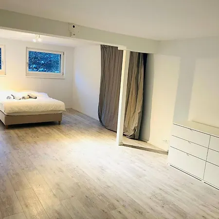 Big House For 10 People Basel