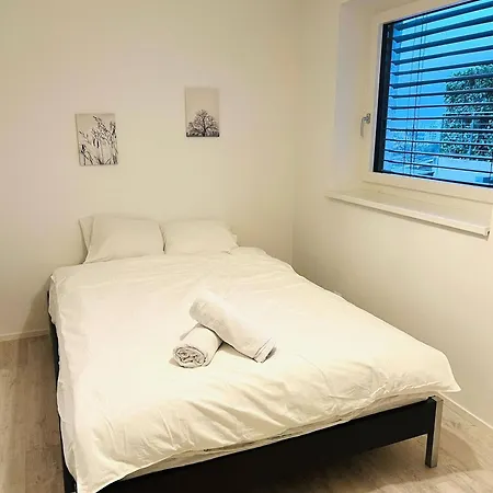 Big House For 10 People * Basel